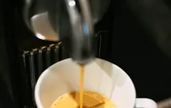 Rosabaya